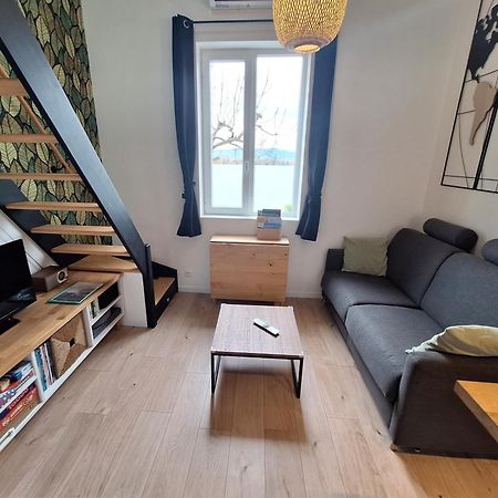 Maison "Le Figuier" Trevoux Climatisee Экстерьер фото